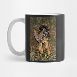 Side-striped Jackal at Night Mug